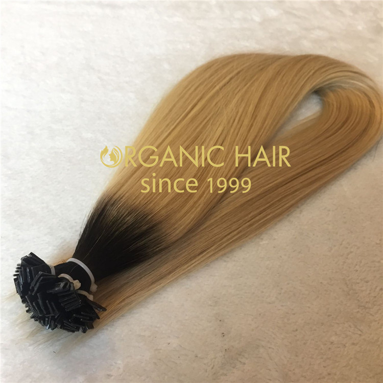 High quality human hair extensions--Flat tip hair extensions C19